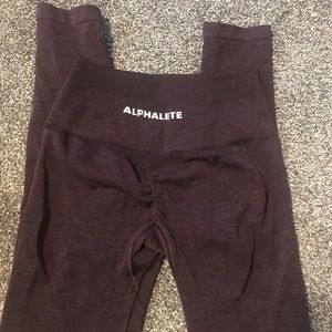 Alphalete Amplify